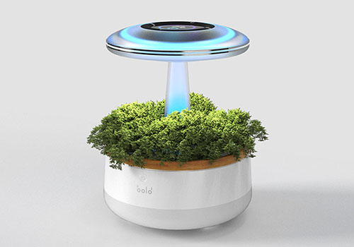 植物(wù)燈